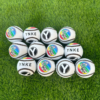 Camogie Sliotars