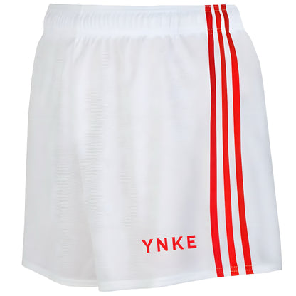 AeroFit GAA Shorts