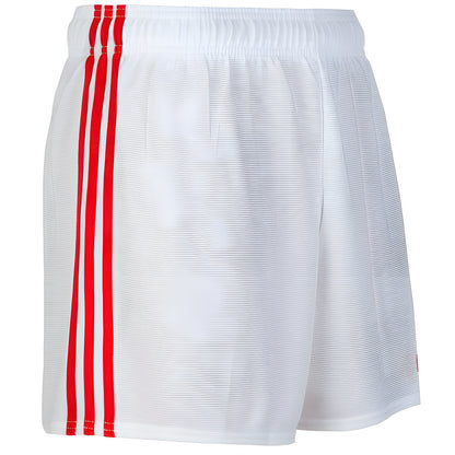 AeroFit GAA Shorts